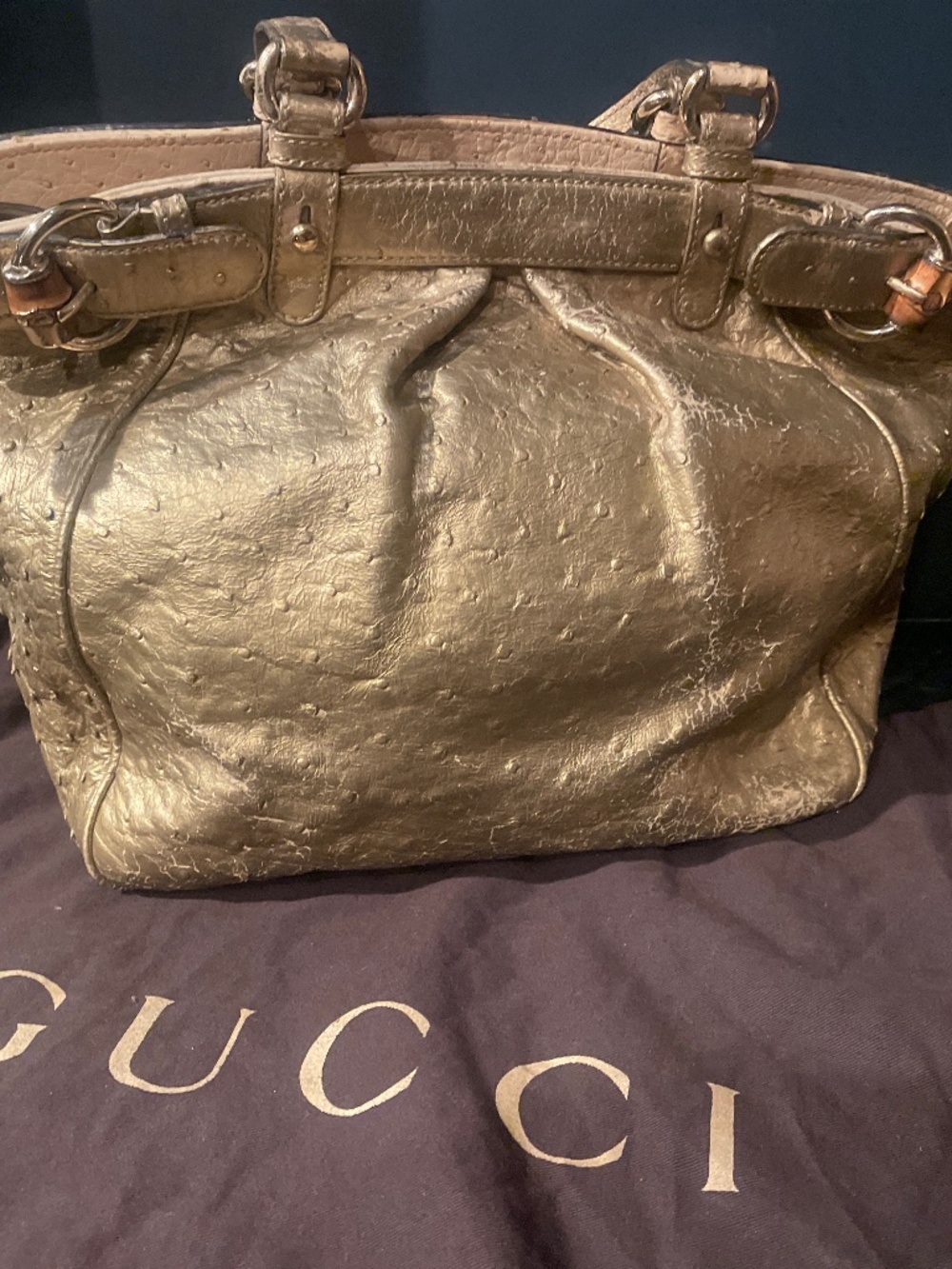 Gucci Ostrich Bag originally $6k